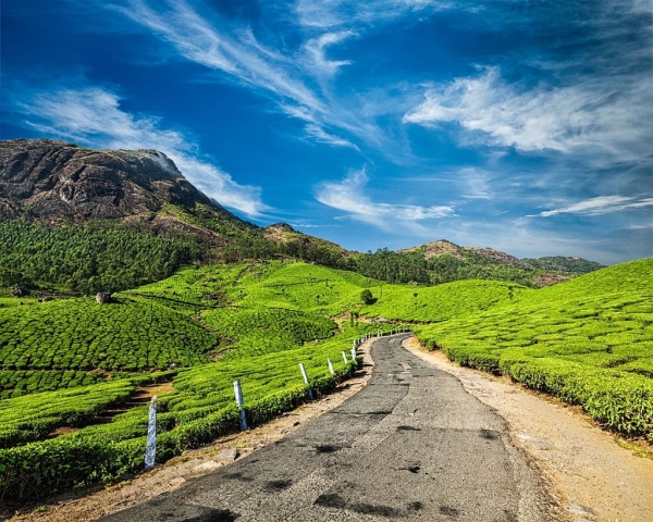 Thekkady Hills